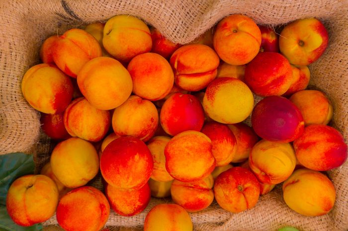 How To Store Nectarines At Home