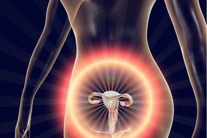 Natural Supplements For Vaginal Health