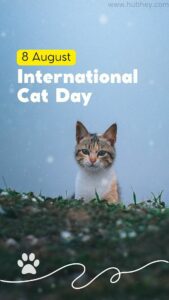 international cat day